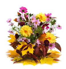 Wall Mural - autumn bouquet