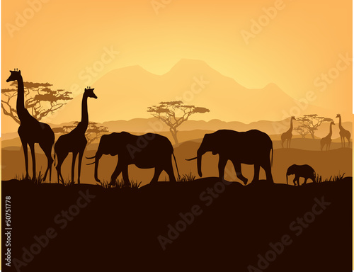 Naklejka dekoracyjna African animals silhouettes in sunset