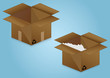 Two cardboard box