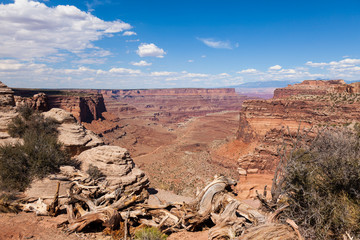 Canvas Print - Canyonlands national park in Utah