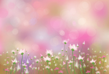 Wall Mural - vector of flowers on spring bokeh background.