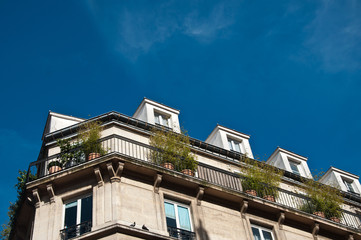 Wall Mural - immeuble parisien en coin avec balcons verts