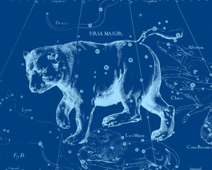 Wall Mural - constellation vintage map