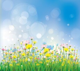 Wall Mural - vector of colorful flowers on spring background.