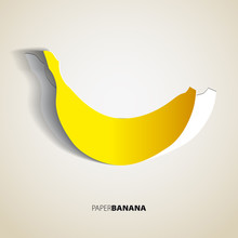 Paper Banana Vector Illustration