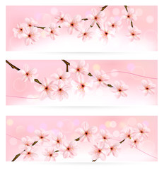 Aufkleber - Three spring banners with blossoming tree brunch