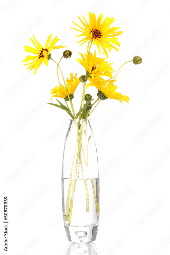 beautiful yellow flowers in vase isolated on white