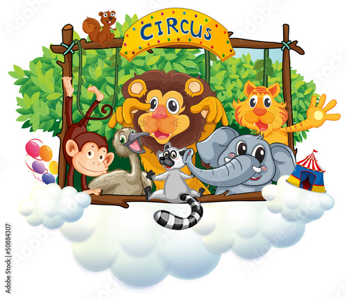 Fototapeta dla dzieci Różne zwierzątka w cyrku