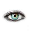 Beautiful blue human eye isolated on white macro shot
