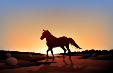 Canvas Print - A horse in a sunset scenery at the desert