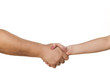 © vladimirfloyd - male and female shaking hands on white background