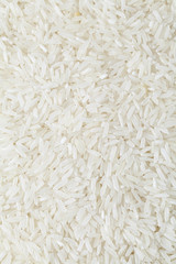 Canvas Print - Rice