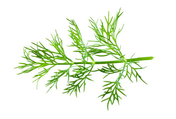 Wall Mural - dill on white