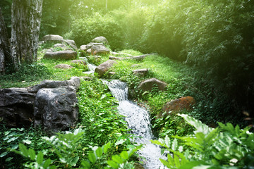 Canvas Print - river in jungle