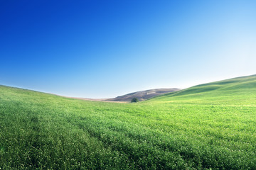 Aufkleber - hills in sunny day Tuscany, Italy
