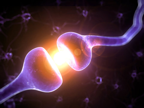3d rendered illustration of a human receptor