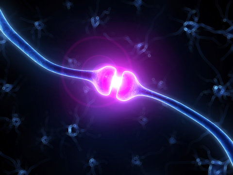 3d rendered illustration of a human receptor