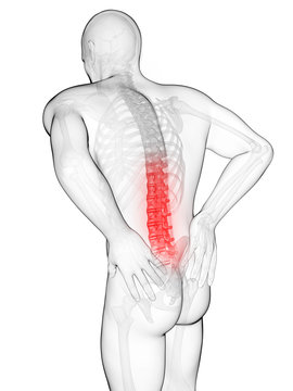 3d rendered illustration - backache male