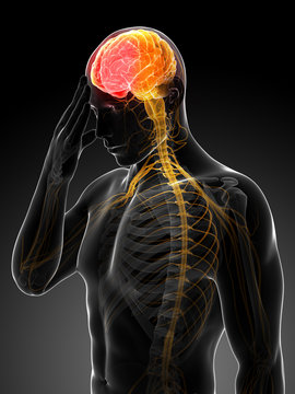 3d rendered conceptual illustration of head pain