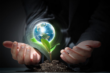 green plant on earth