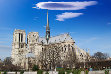 Wall Mural - Overview of the Cathedral of Notre Dame from the bank of the riv