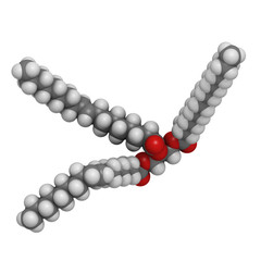 Canvas Print - Trans-fat containing triglyceride (elaidyl stearyl oleyl triglyc