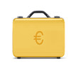 beautiful golden briefcase representing euro money and business