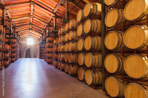Fotomural Barriles de vino en la bodega