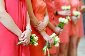 Wall Mural - Row of bridesmaids with bouquets