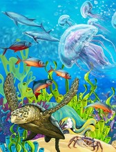 The Coral Reef - Illustration For The Children