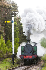 Sticker - steam train, Strathspey Railway, Highlands, Scotland