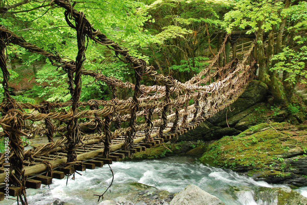 pont-de-lianes-et-bambou-kazura-bashi-a-oku-iya-shikoku