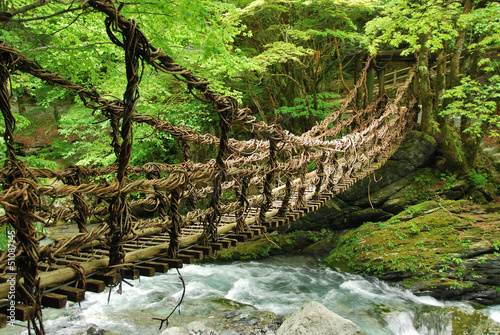 Naklejka dekoracyjna Pont de lianes et bambou Kazura-bashi à Oku Iya, Shikoku