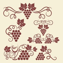 Decorative Grape Vine Elements For Design