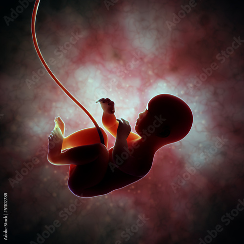 Naklejka dekoracyjna Fetus inside the womb