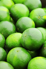 Wall Mural - lime citrus fruit