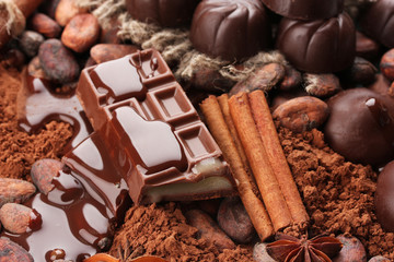 Wall Mural - Composition of chocolate sweets, cocoa and spices