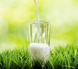 Canvas Print - Glass of milk on nature background