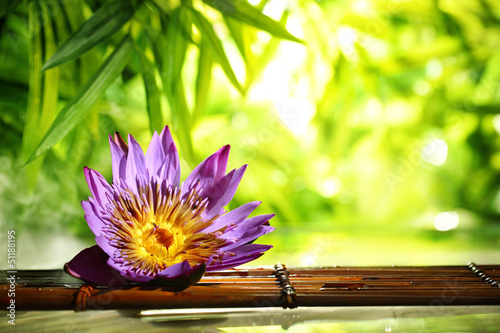 bedruckte Baumwollstoffe - Spa still life with lotus float on water (von Li Ding)