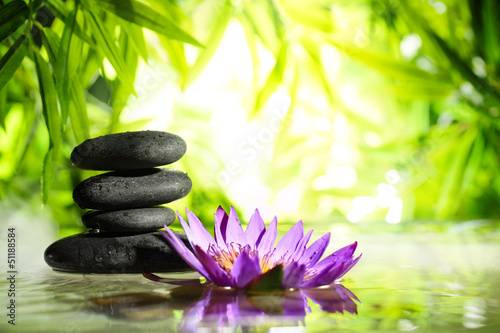 Foto-Kissen - Spa still life with lotus and zen stone on water (von Li Ding)