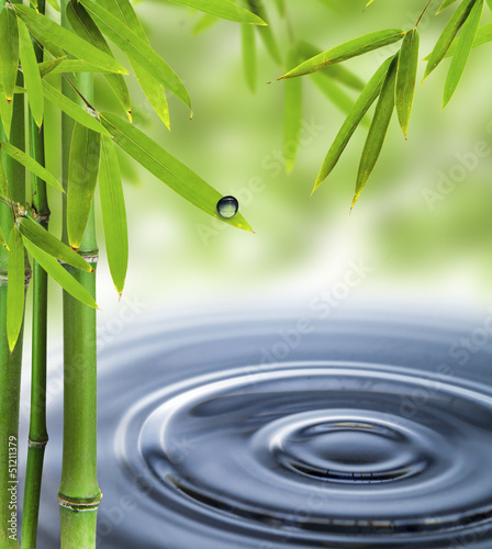 Photo Spa still life with water circles