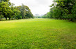 Leinwandbild Motiv green grass field in big city park