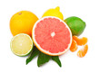 Set of fresh citrus fruits with green leaves, isolated on