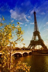 Fototapete - Beautiful colors and vegetation near Eiffel Tower and Seine rive