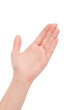 © oly5 - Empty open woman hand