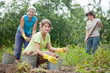 © JackF - women harvesting potatoes