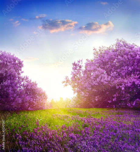 Naklejka dekoracyjna spring landscape