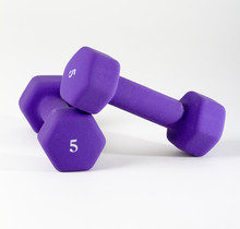 Two 5 Pound Weights On A White Background With Copy Space.
