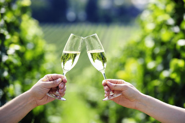 toasting with two glasses of champagne in the vineyard