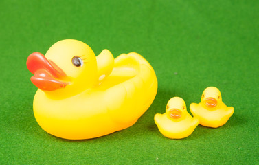 Plastic yellow duck toy